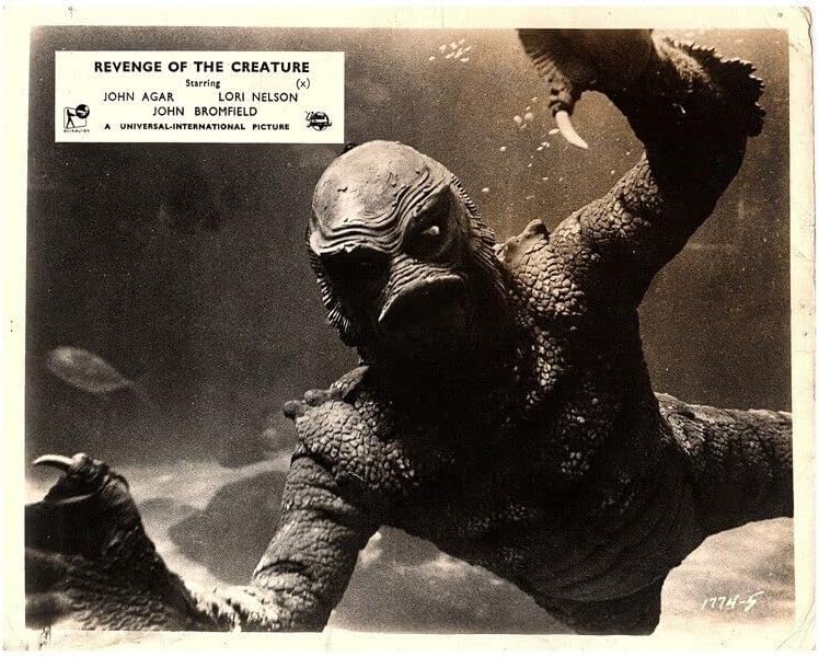 Одмазда На Суштеството Жабрениот Човек подводна фотографија од 8х10 инчи