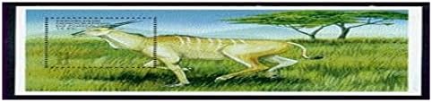 Конго Животни Сувенир Лист | Животни &засилувач; Фауна И Флора Колекционерски пошта &засилувач; Поштенски Марки од 2000 | Скот